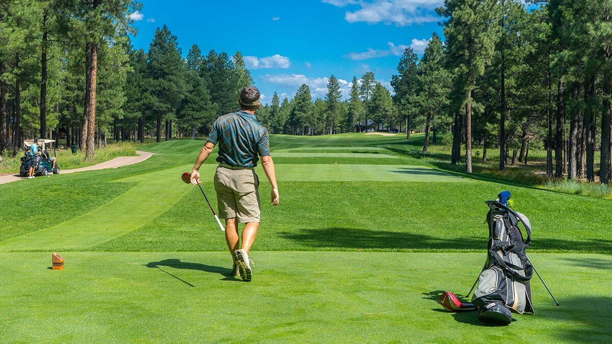 golf netting